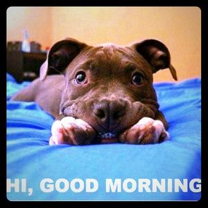 Meet your Posher, Lorissa